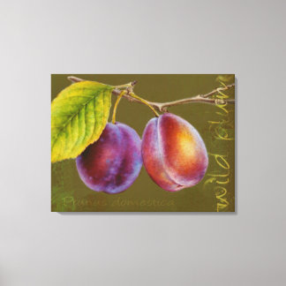 Ciruela silvestre - Arte de tela Prunus domestica 