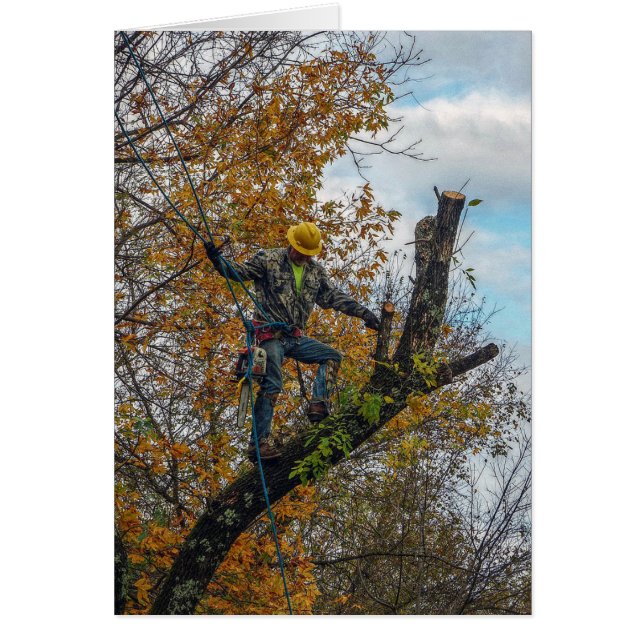 Cirujano de árbol (Frente)