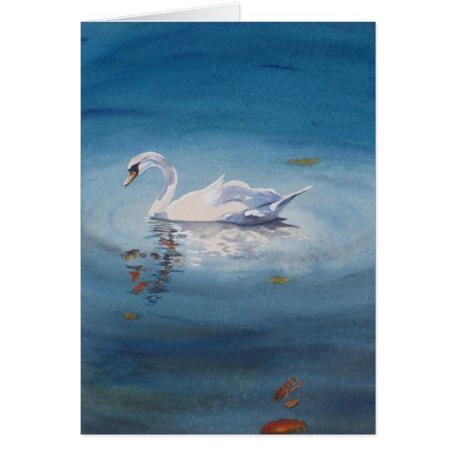 Cisne blanco (Frente)