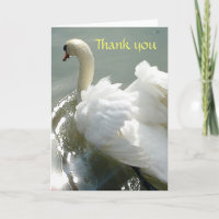 Cisne blanco de la tarjeta de felicitación con el