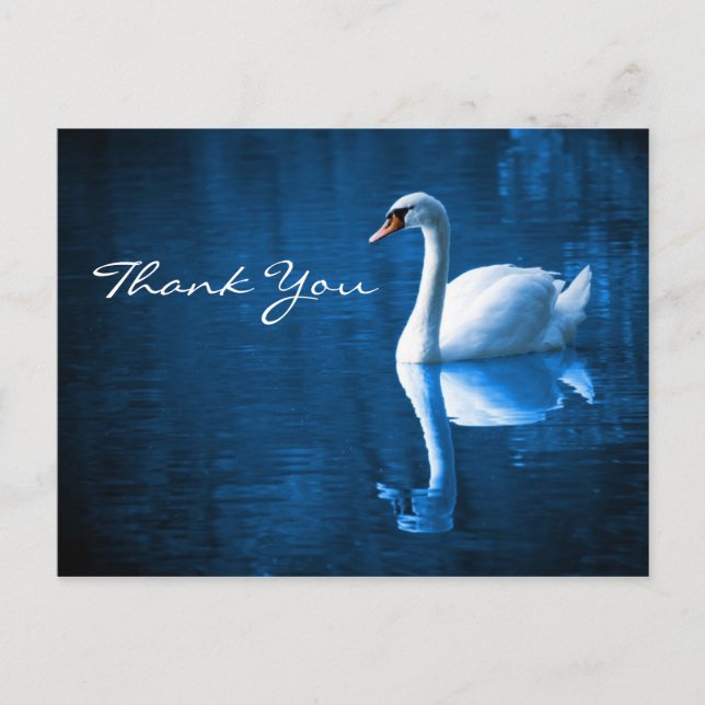 Cisne blanco en aguas azules gracias postal (Anverso)