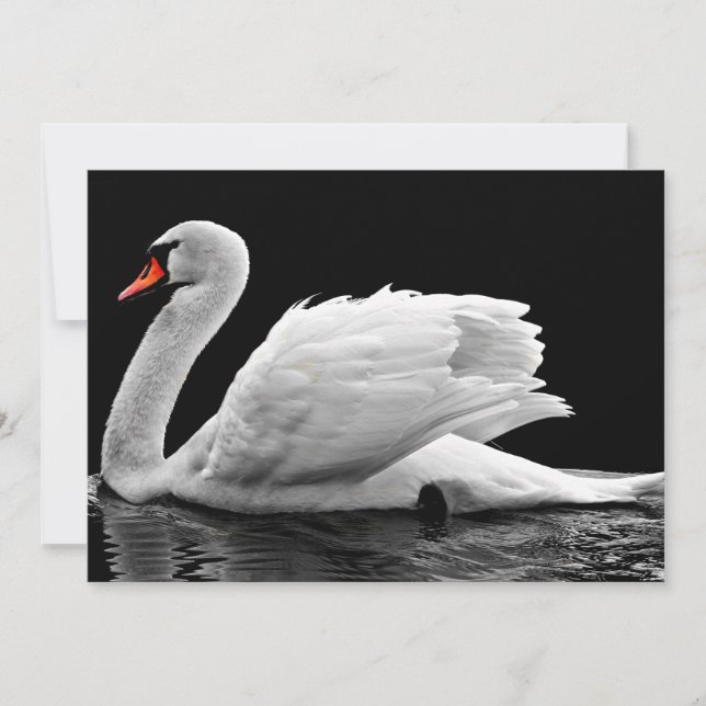 Cisne blanco en el lago (Anverso)