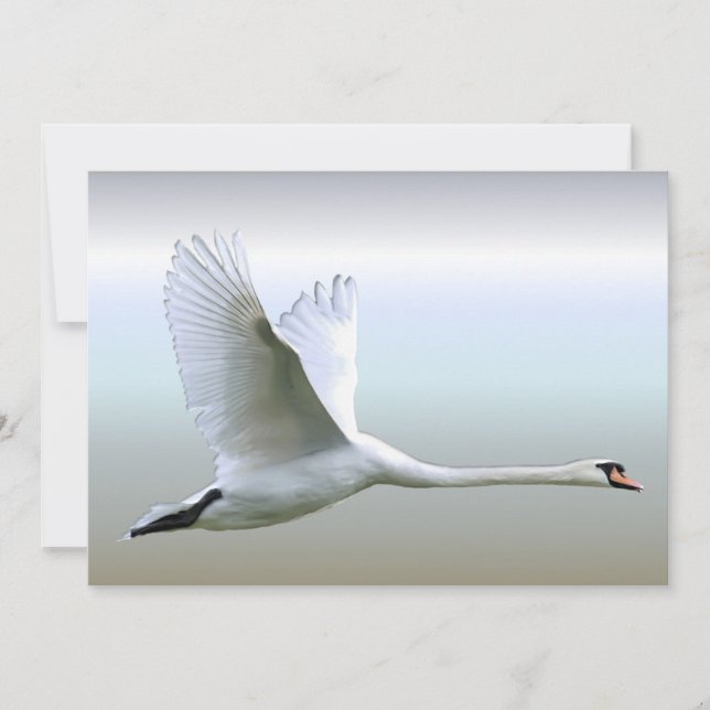 Cisne blanco en vuelo completo (Anverso)
