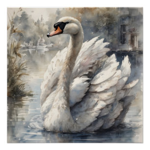 cisne blanco no 16 Poster brillante