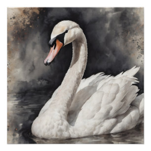 Cisne blanco no 67 Poster brillante