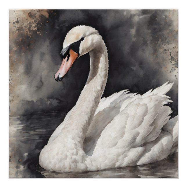 Cisne blanco no 67 Poster brillante (Anverso)