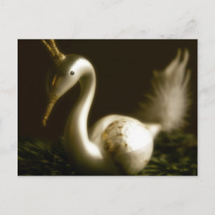Cisne blanco • Postal del navidad