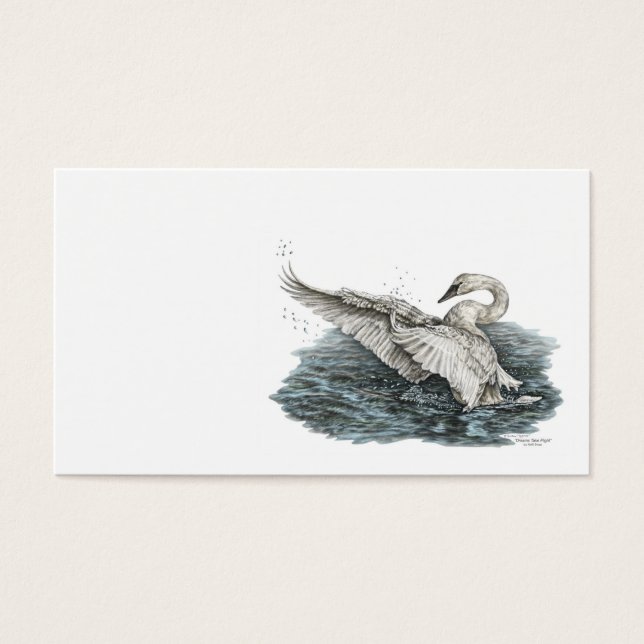 Cisne blanco sobre el agua (Frente)