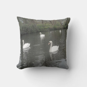 Cisne de almohada Natación