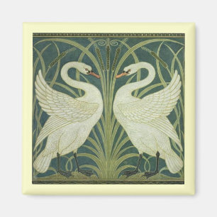 Cisne e imán de la precipitación