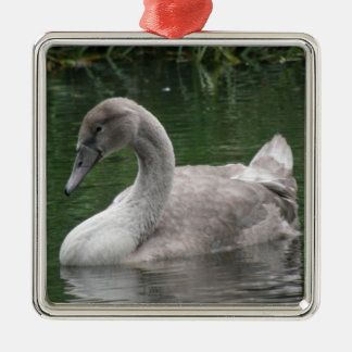 Cisne elegante en ornamento acuático