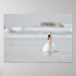 Cisne en un paisaje marino congelado póster