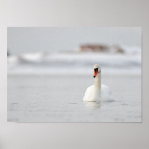 Cisne en un paisaje marino congelado póster