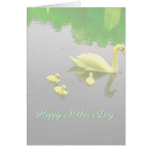 Cisne feliz del día de madre