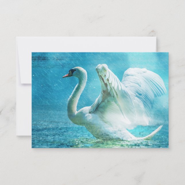 Cisne mágico RSVP durante la ducha de verano (Anverso)