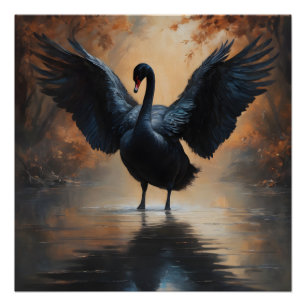 Cisne negra no 6 Poster brillante