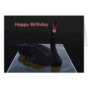 Cisne Negro Nadando En Estanque Dimensional,