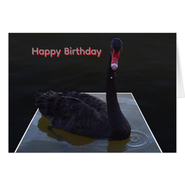 Cisne Negro Nadando En Estanque Dimensional, (Anverso (Horizontal))