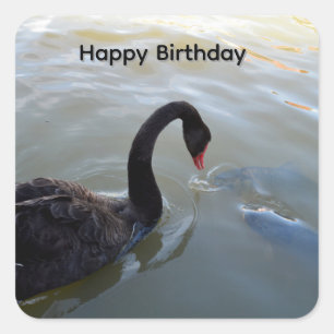 Cisne negro y peces grandes, pegatinas de cumpleañ