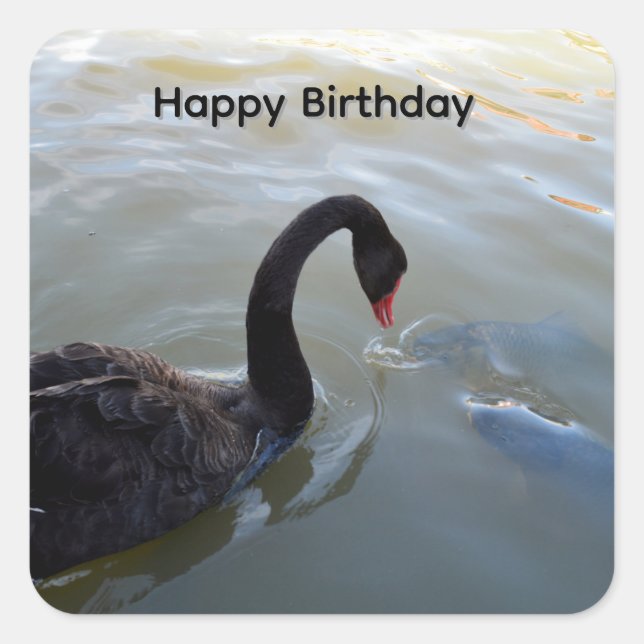 Cisne negro y peces grandes, pegatinas de cumpleañ (Anverso)
