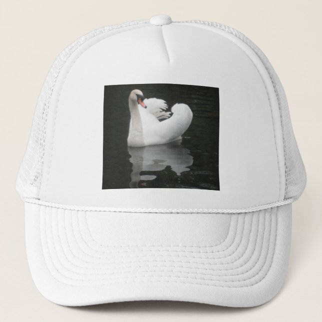 Cisne sombrero nadando (Anverso)
