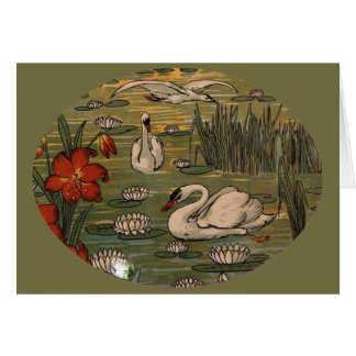 Cisnes