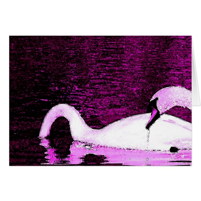 Cisnes alimentando púrpura (Anverso (Horizontal))