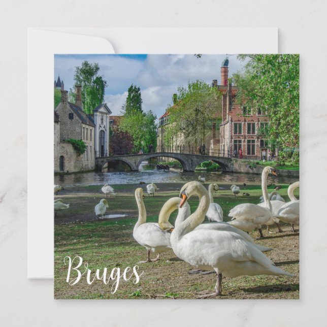 Cisnes blancos en Brujas (Anverso)