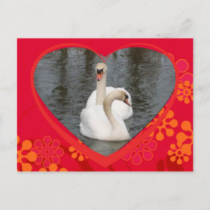 cisnes de la tarjeta del día de San Valentín