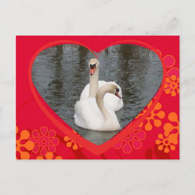 cisnes de la tarjeta del día de San Valentín (Anverso)