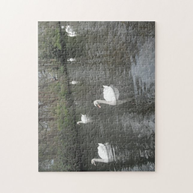 Cisnes de rompecabezas Nadando (Vertical)