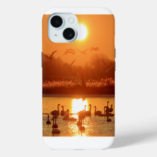 Cisnes en el lago Sunset