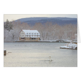 Cisnes en la charca con el molino y las colinas