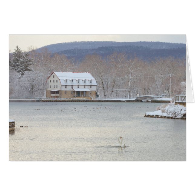 Cisnes en la charca con el molino y las colinas (Anverso (Horizontal))