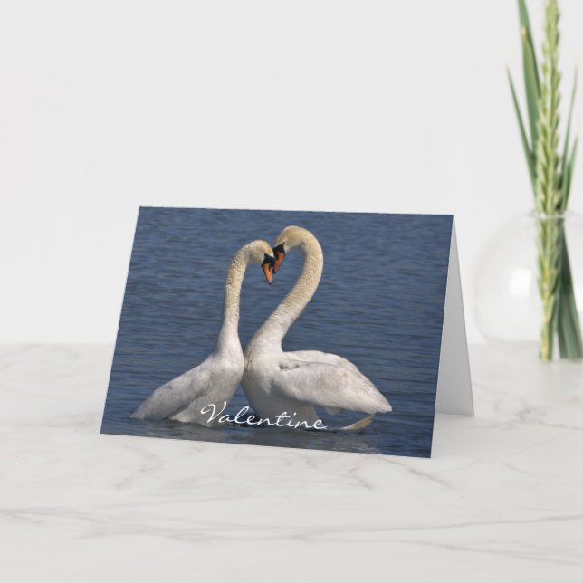 Cisnes en la tarjeta del amor - tarjeta del día de (Anverso)
