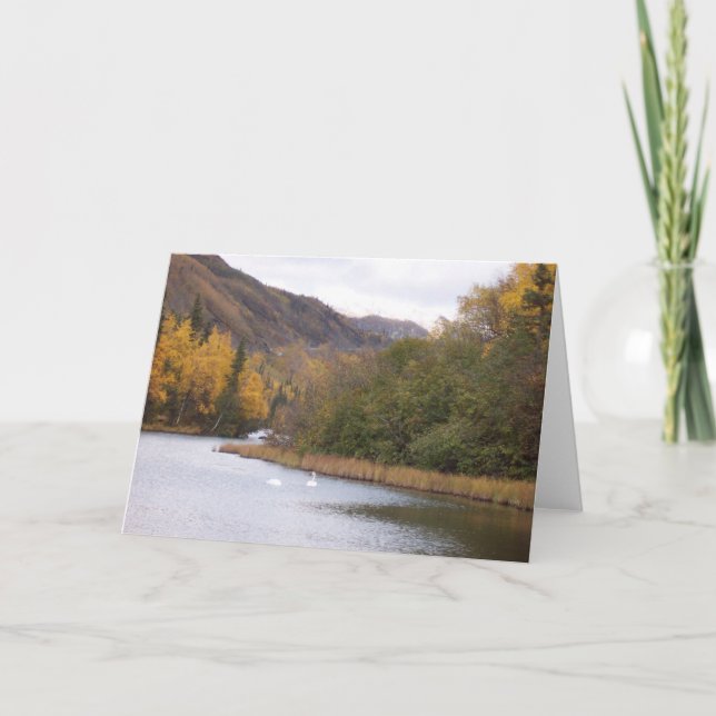 Cisnes en lago Alaska, tarjeta de felicitación (Anverso)