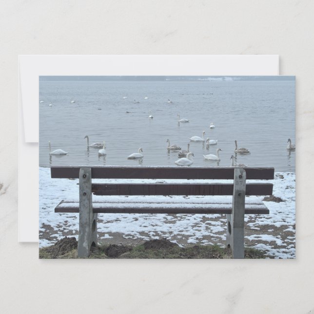Cisnes, lago y banco - invitación (Anverso)