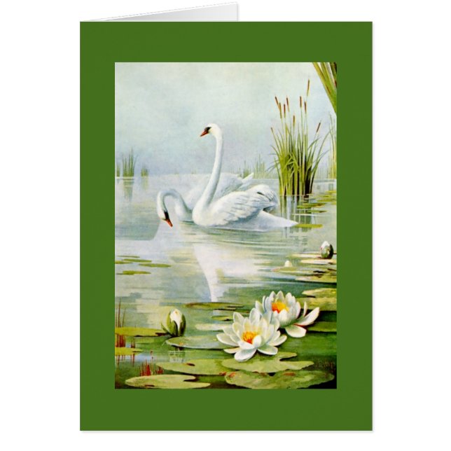 Cisnes preciosos del vintage (Frente)