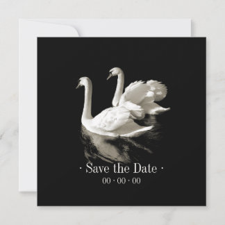 Cisnes románticos - Anuncio de guardar la fecha