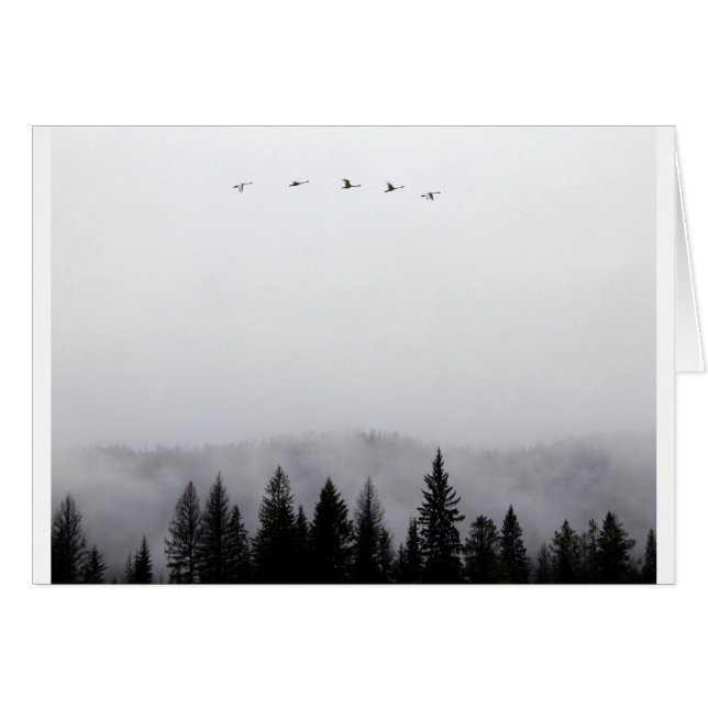 "Cisnes volando alto" (Anverso (Horizontal))