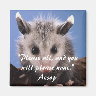 Cita de Aesop e Imán Opossum Adorable