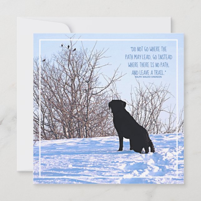 Cita motivacional - Cotización de vida Inspiradora (Anverso)