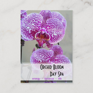 Cita púrpura abigarrada de la foto de la orquíde