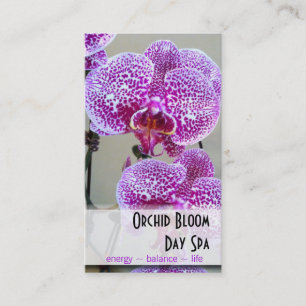Cita púrpura abigarrada de la foto de la orquíde