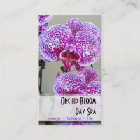 Cita púrpura abigarrada de la foto de la orquídea