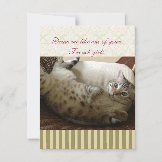 Cita Titanic Cat Brocade Stripe Notecard (Anverso)