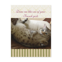 Cita Titanic Cat Brocade Stripe Notecard