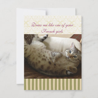 Cita Titanic Cat Brocade Stripe Notecard
