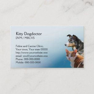 Cita veterinaria de la práctica