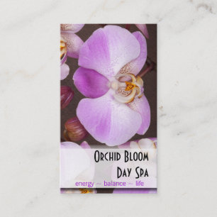 Cita violeta y blanca de la foto de la orquídea